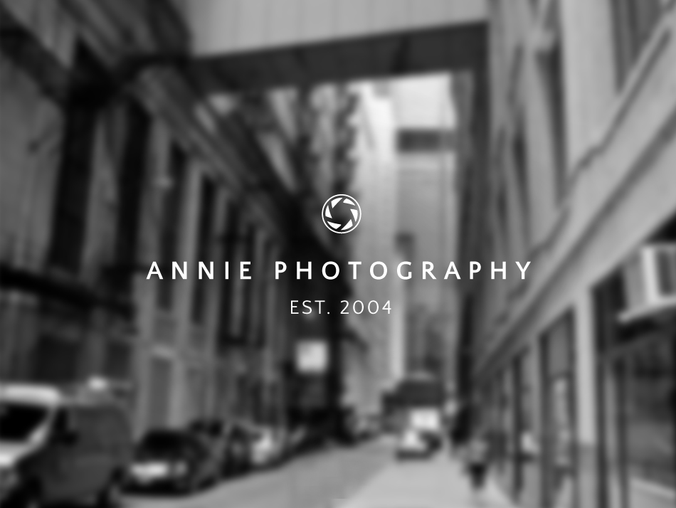 Annie Photography sans-serif logo by Typeset Design